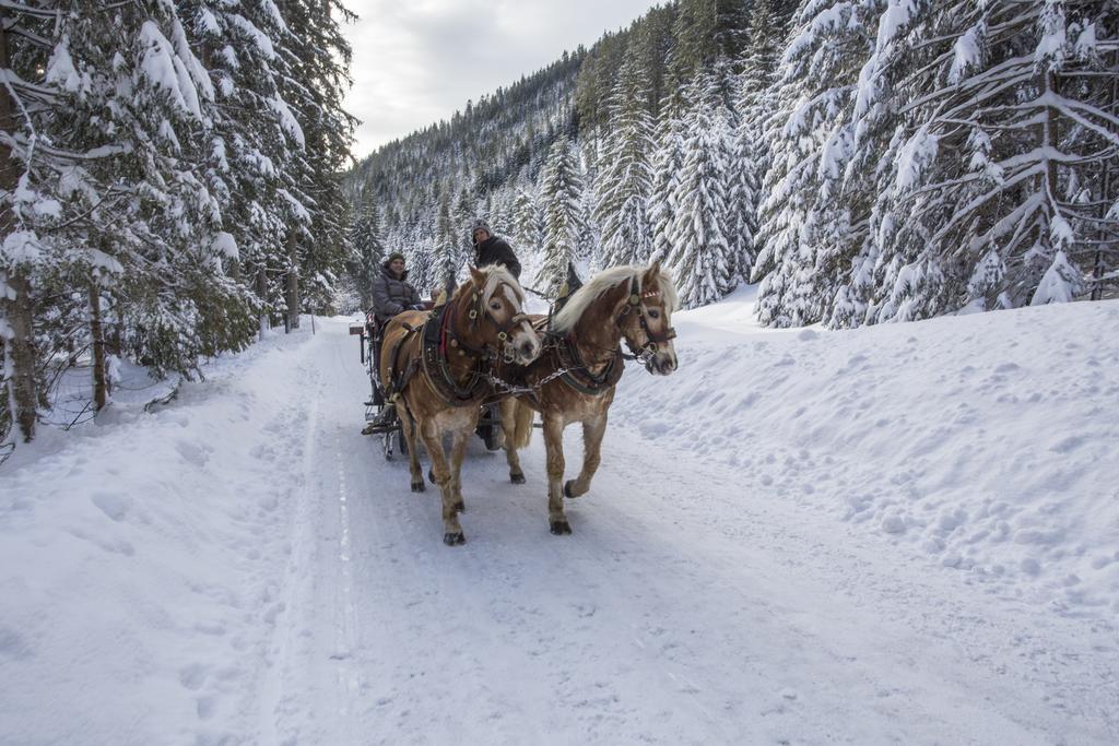 Landhotel Alpenhof Filzmoos Dış mekan fotoğraf
