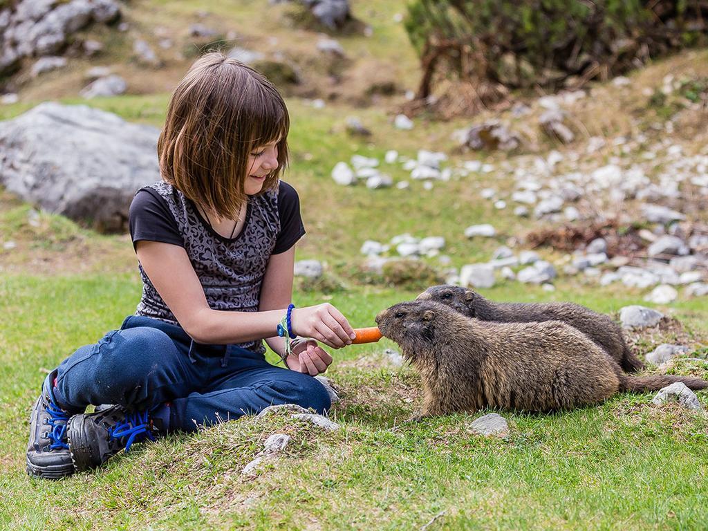 Landhotel Alpenhof Filzmoos Dış mekan fotoğraf